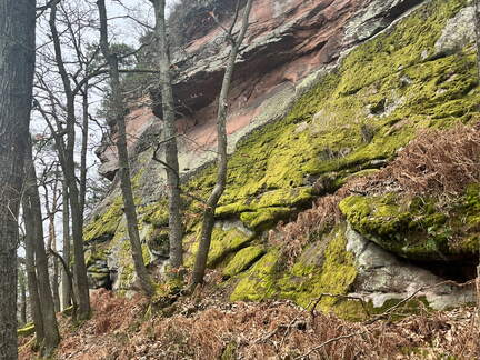 24-03-01 11-23-01 8858